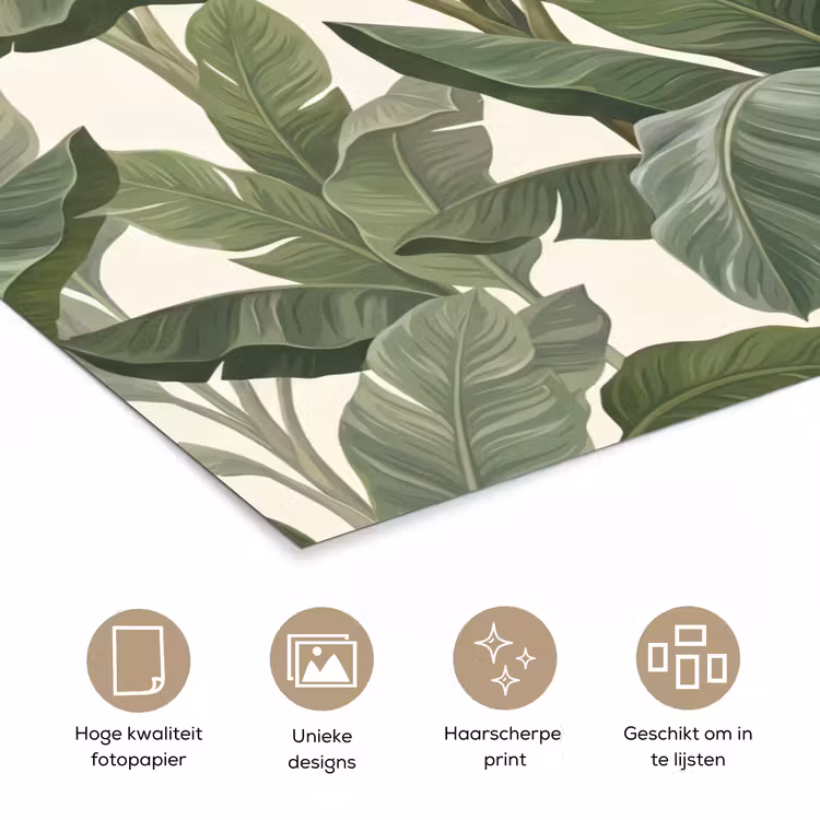 Poster - Planten - Bladeren - Tropisch - Groen — 5