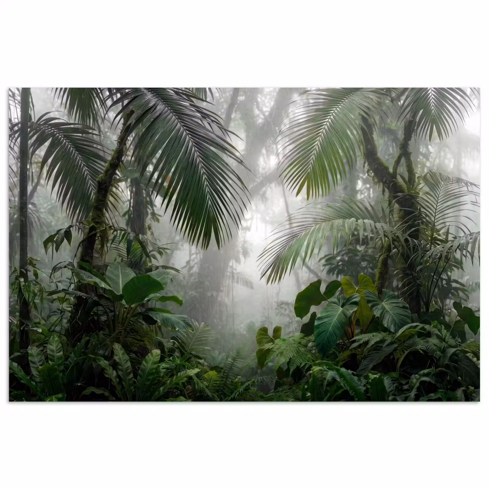 Poster - Natuur - Jungle - Mist - Tropisch - Groen — 1