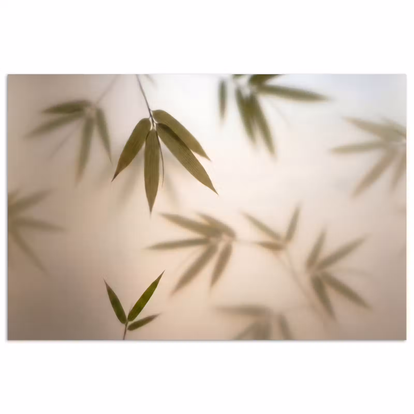 Poster - Planten - Bladeren - Natuur - Groen — 1