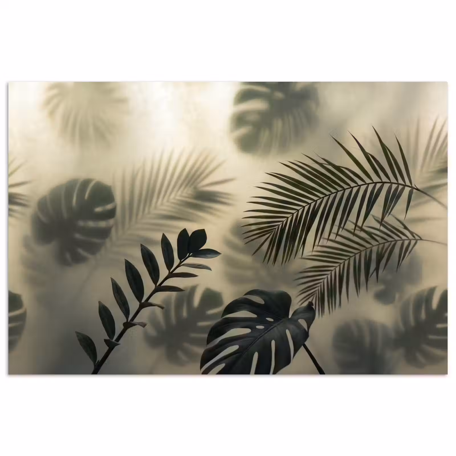 Poster - Planten - Bladeren - Schaduwen - Groen - Modern — 1
