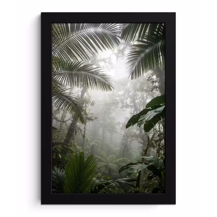 Poster met lijst - Natuur - Jungle - Mist - Groen - Bladeren — 1