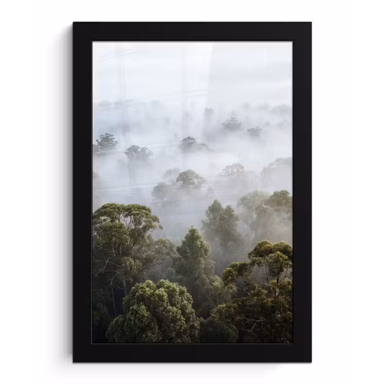 Poster met lijst - Natuur - Mist - Bos - Ochtend - Goud — 1