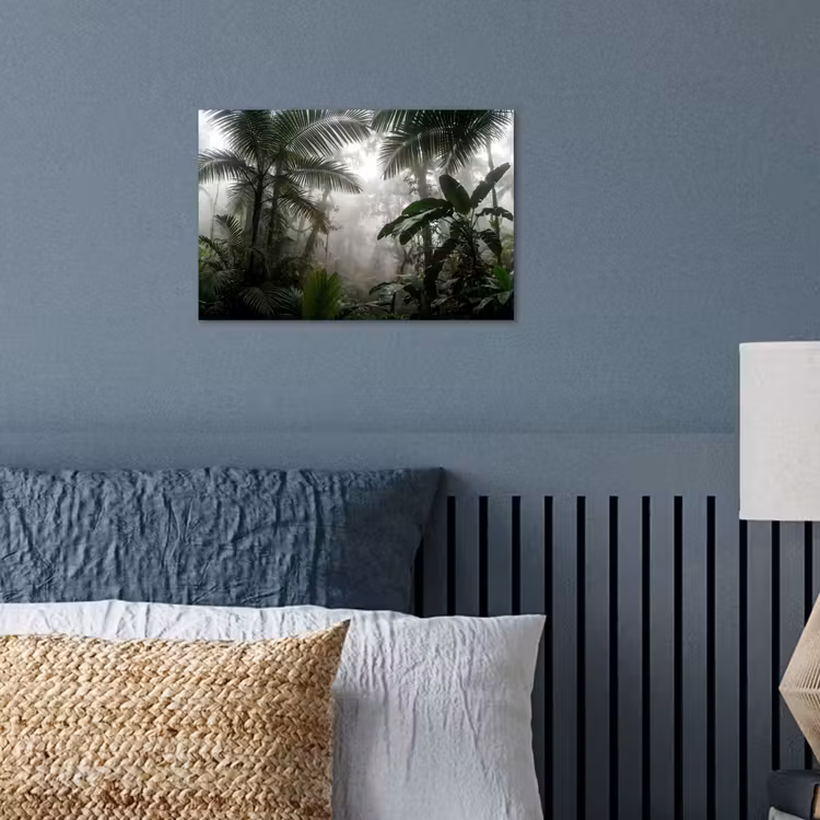 Poster - Natuur - Jungle - Mist - Groen - Bladeren — 3