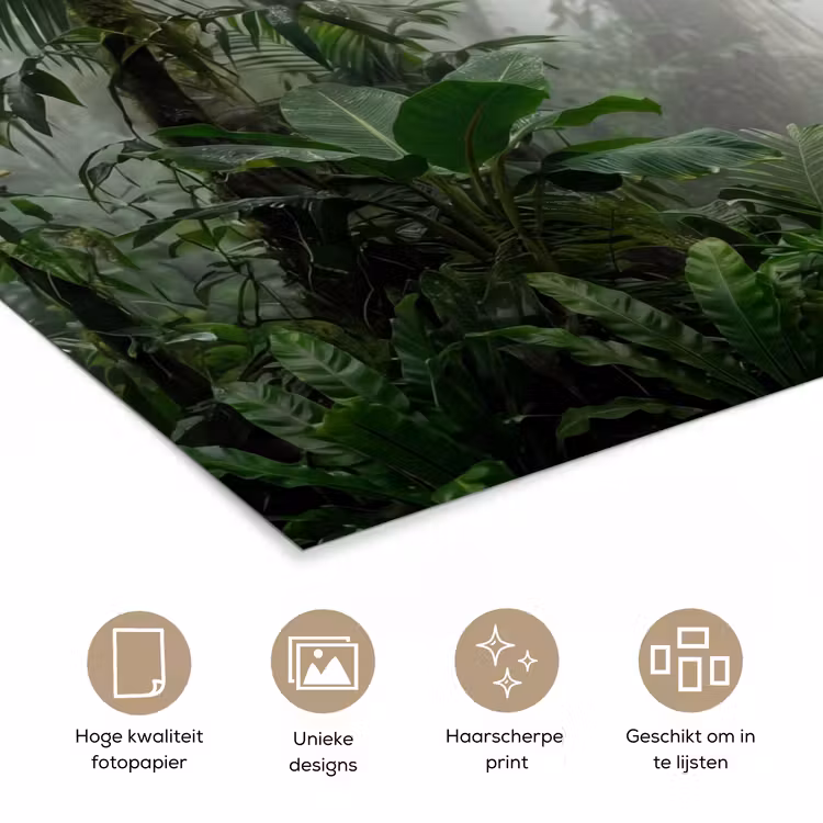 Poster - Natuur - Jungle - Mist - Tropisch - Groen — 5