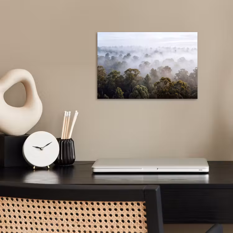 Poster - Natuur - Mist - Bos - Ochtend - Goud — 2