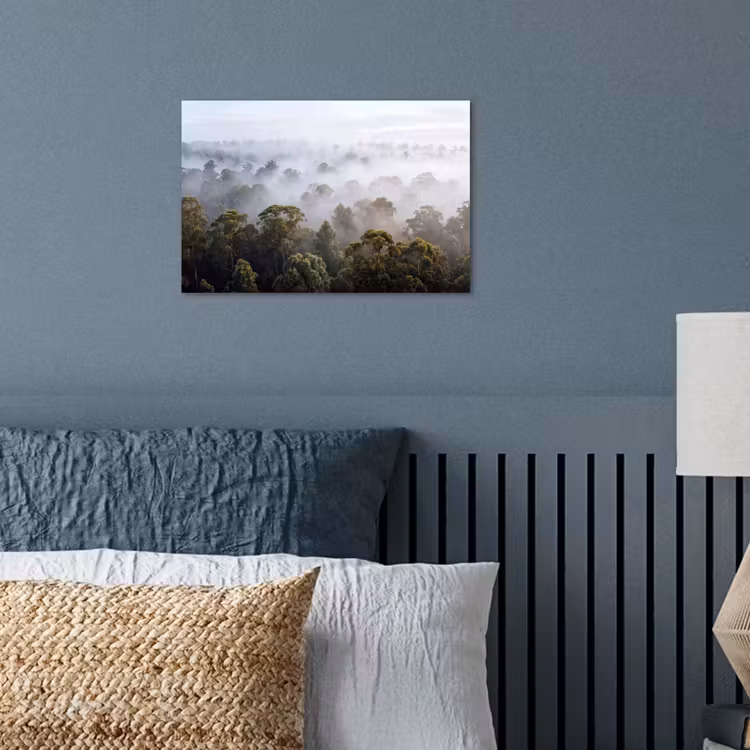 Poster - Natuur - Mist - Bos - Ochtend - Goud — 3