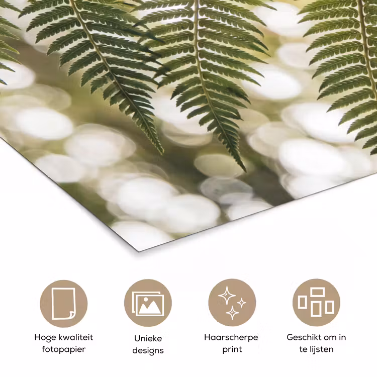 Poster - Plant - Blad - Natuur - Groen - Detail — 5