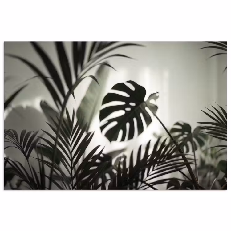 Poster - Planten - Bladeren - Natuur - Minimalistisch - Groen — 1