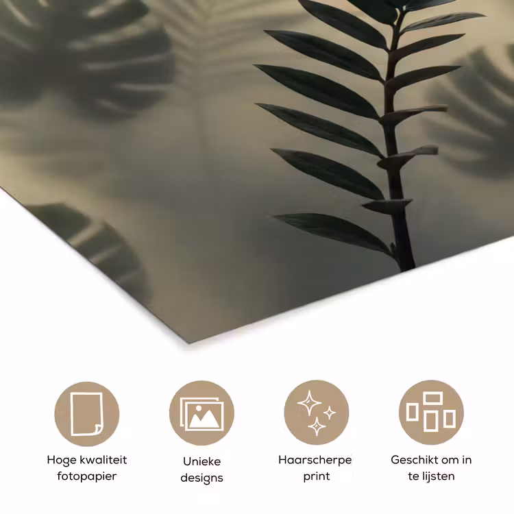 Poster - Planten - Bladeren - Schaduwen - Groen - Modern — 5