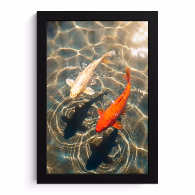 Poster met lijst - Vis - Water - Dieren - Oranje - Goud — 1