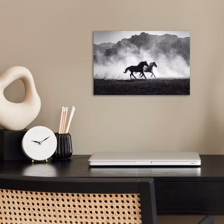 Poster - Paard - Ren - Stof - Zwart-wit - Dieren — 2