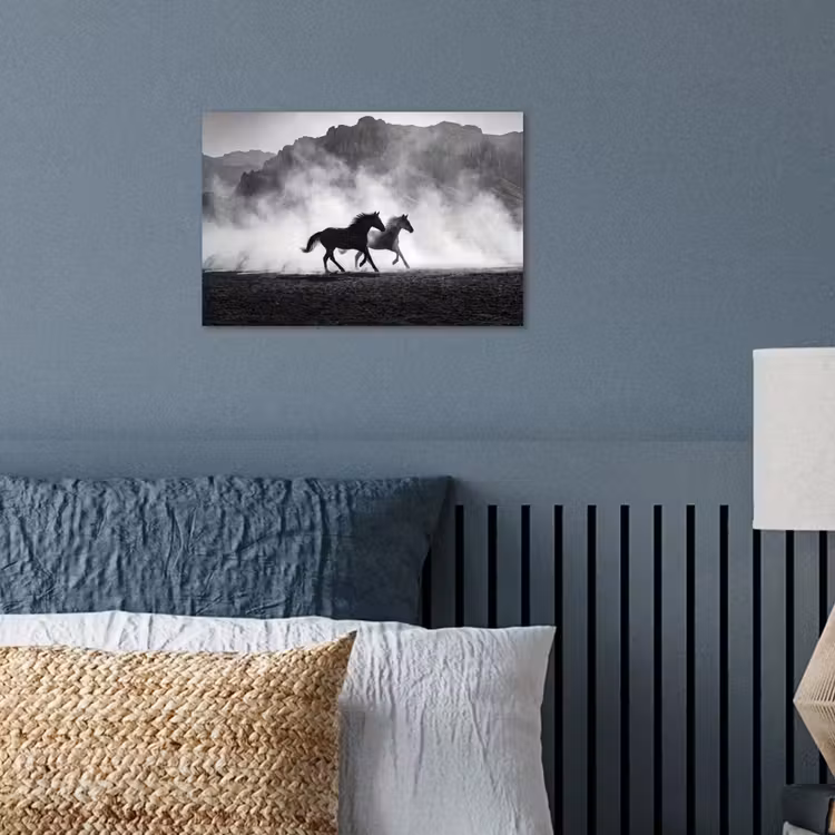 Poster - Paard - Ren - Stof - Zwart-wit - Dieren — 3