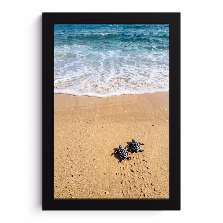 Poster met lijst - Schildpad - Jong - Strand - Oceaan - Blauw — 1