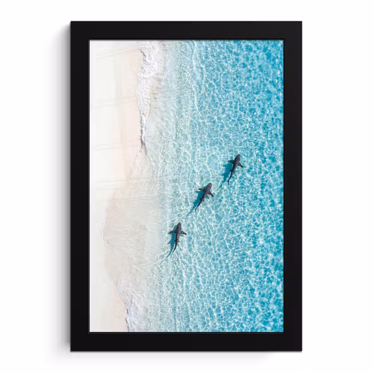 Poster met lijst - Vis - Oceaan - Strand - Turquoise - Natuur — 1