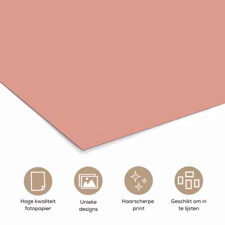 Poster - Muted - Salmon - Koraal — 5