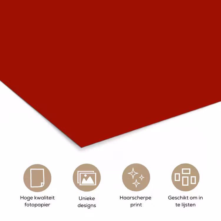 Poster - Oxblood - Maroon - Rood — 5