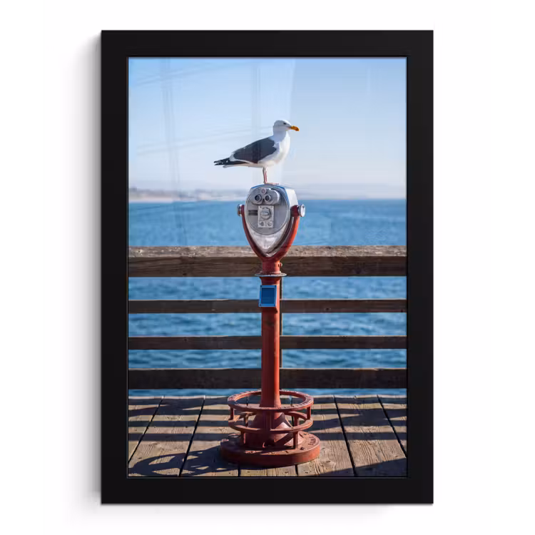 Poster met lijst - Vogel - Verrekijker - Kust - Zee - Blauw — 1