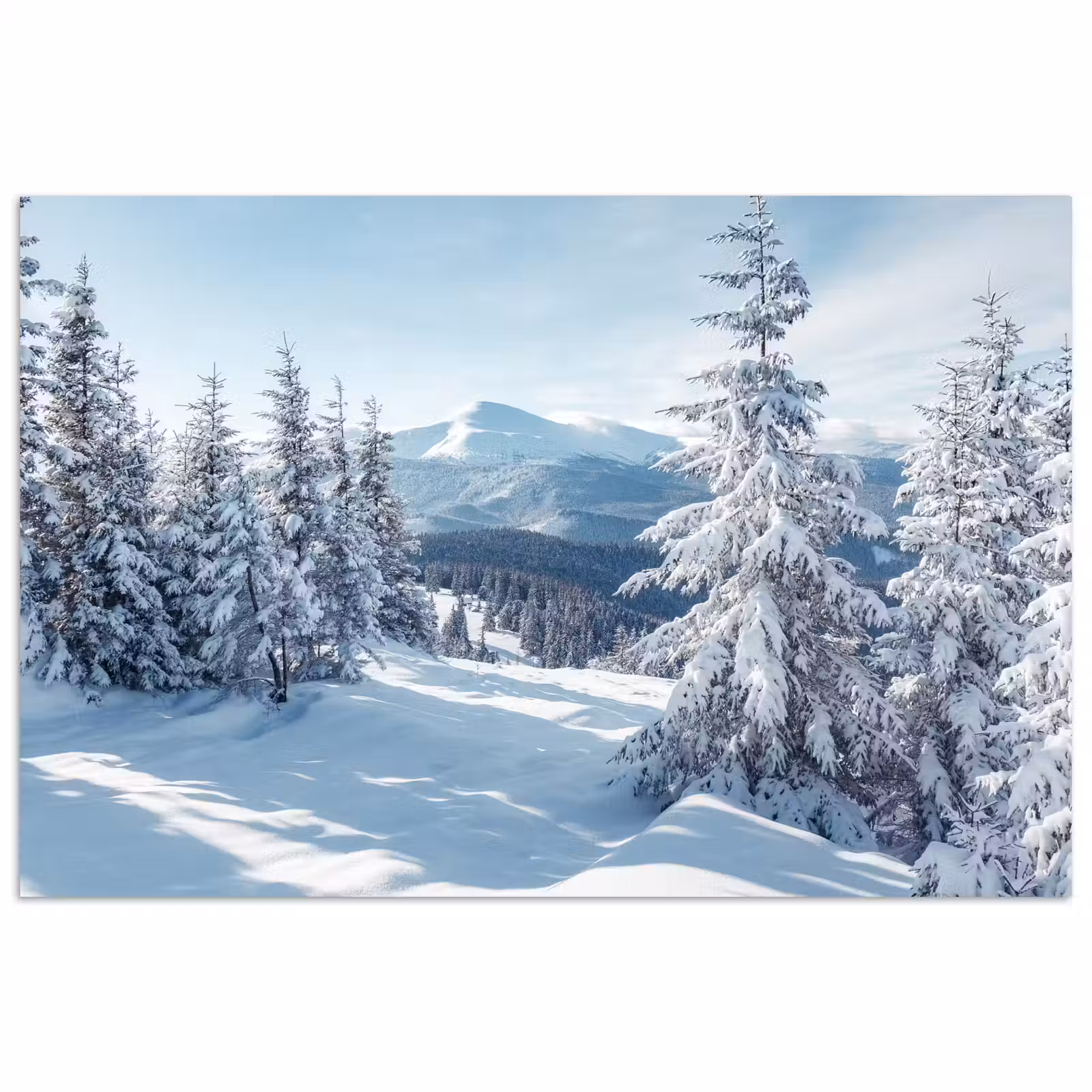 Poster - Winterlandschap - Natuur - Berg - Bomen - Sneeuw — 1