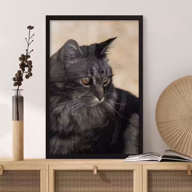 Poster met lijst - Volledige foto — 7