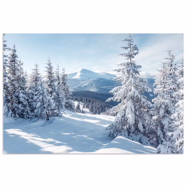 Poster - Winterlandschap - Natuur - Berg - Bomen - Sneeuw — 1