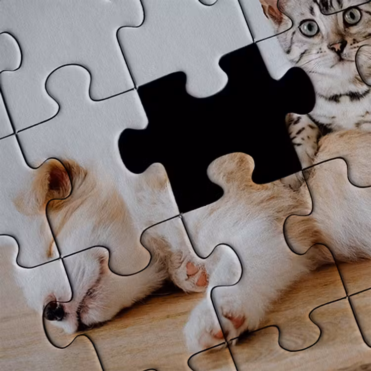 Puzzel met doos — 1