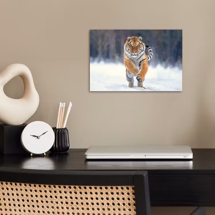 Poster - Tijger - Landschap - Sneeuw - Winter - Dieren — 2
