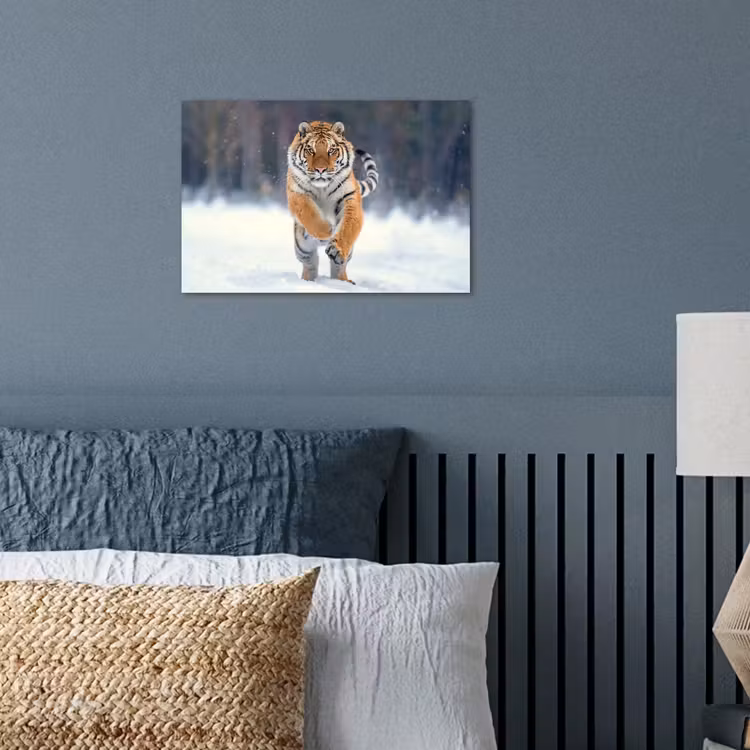 Poster - Tijger - Landschap - Sneeuw - Winter - Dieren — 3