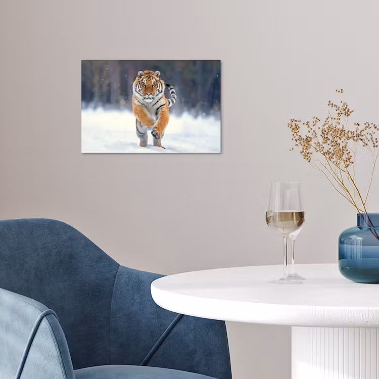 Poster - Tijger - Landschap - Sneeuw - Winter - Dieren — 4