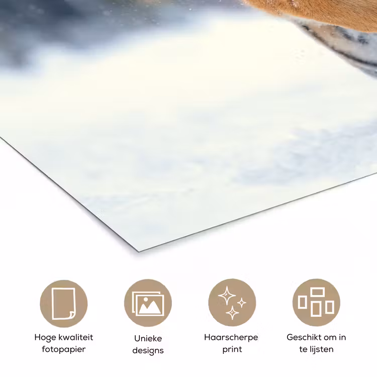Poster - Tijger - Landschap - Sneeuw - Winter - Dieren — 5
