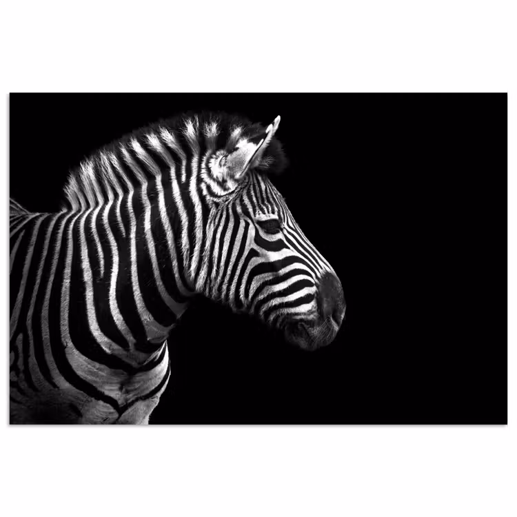 Poster - Zebra - Zwart - Wit - Portret - Dieren — 1