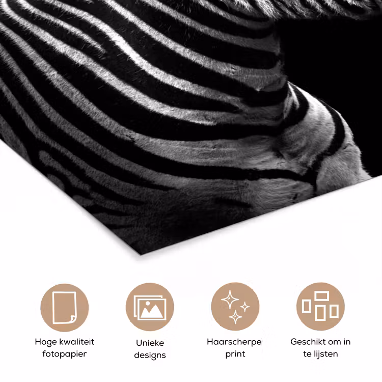 Poster - Zebra - Zwart - Wit - Portret - Dieren — 5