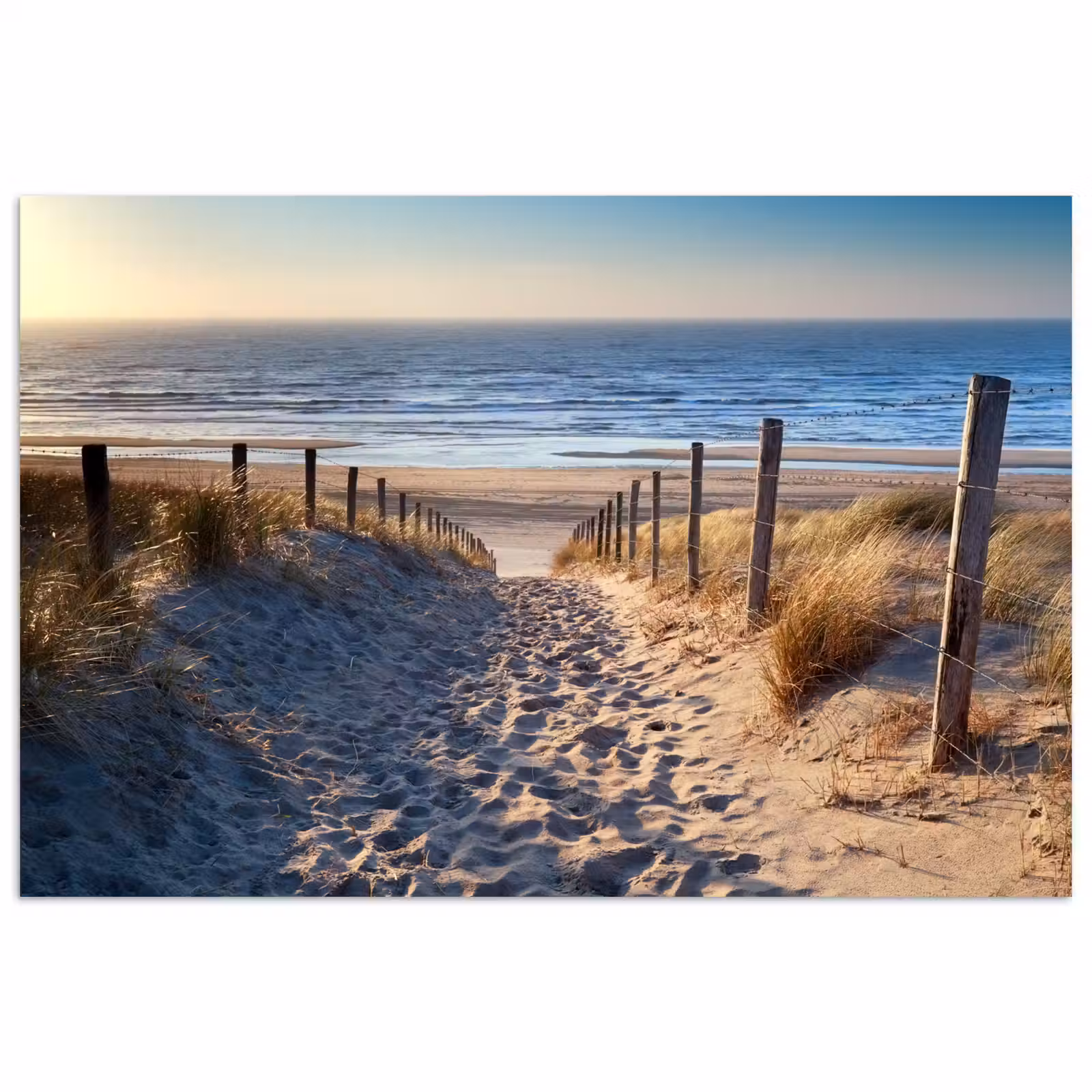Poster - Zand - Strand - Duin - Zee - Zomer — 1