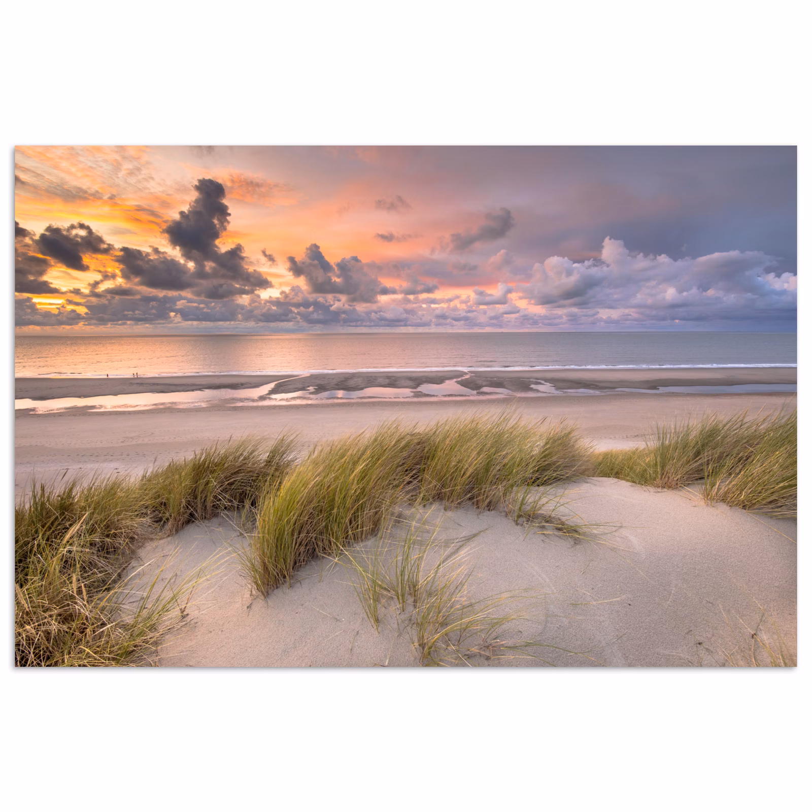 Poster - Zonsondergang - Duin - Strand - Planten - Zee — 1