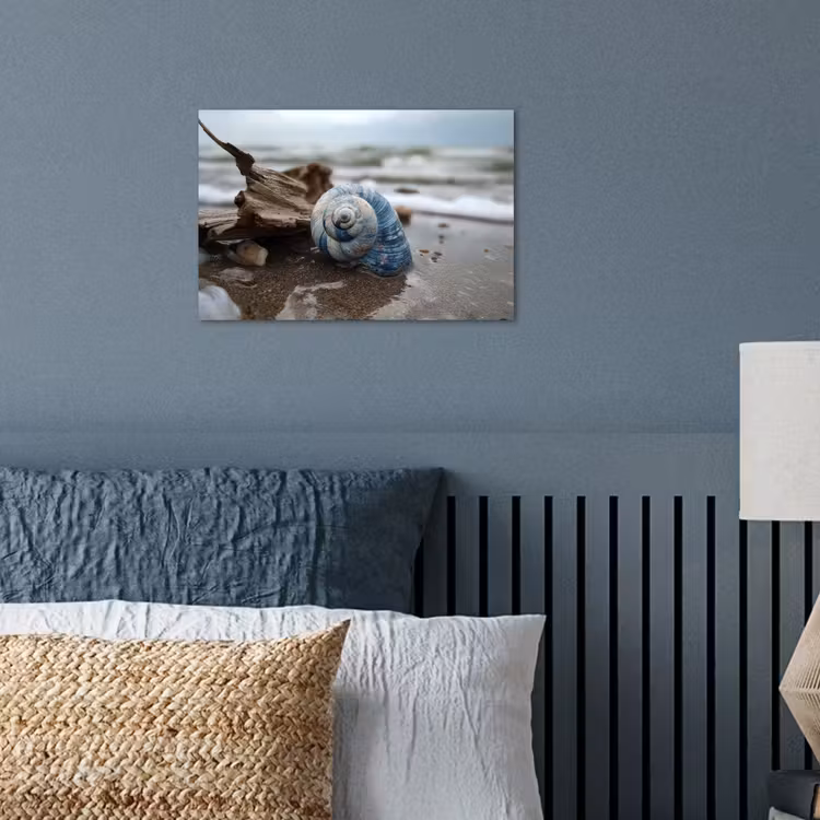 Poster - Schelp - Strand - Blauw - Zee — 3