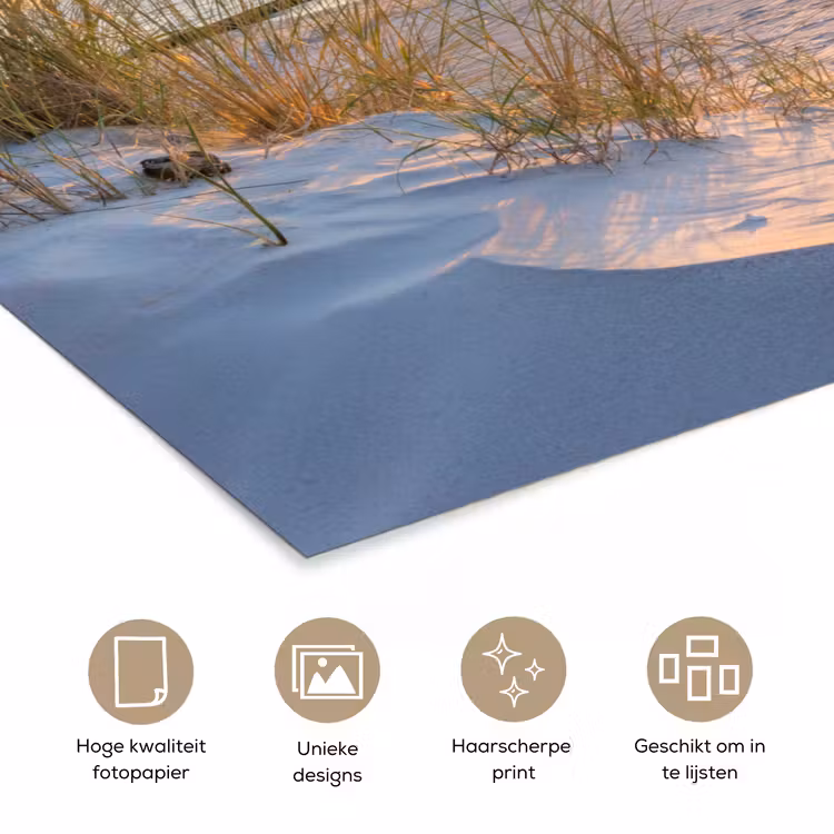 Poster - Strand - Zon - Duin - Gras - Zand - Horizon — 5
