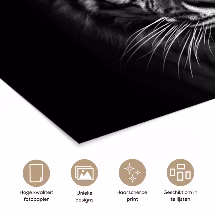 Poster - Tijger - Dieren - Zwart - Wit - Portret - Wild — 5