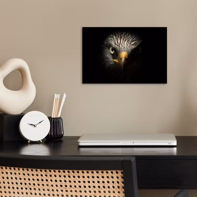 Poster - Vogel - Adelaar - Roofvogels - Oog - Snavel - Licht — 2