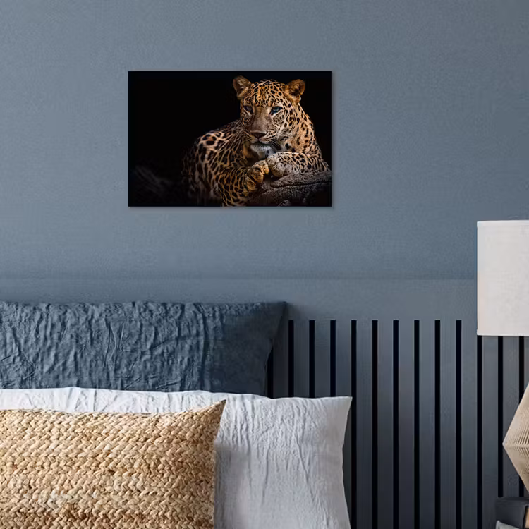 Poster - Wilde dieren - Panter - Portret - Zwart - Dieren — 3