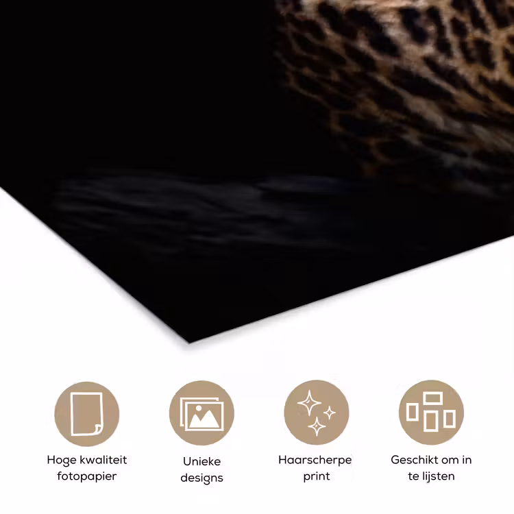 Poster - Wilde dieren - Panter - Portret - Zwart - Dieren — 5