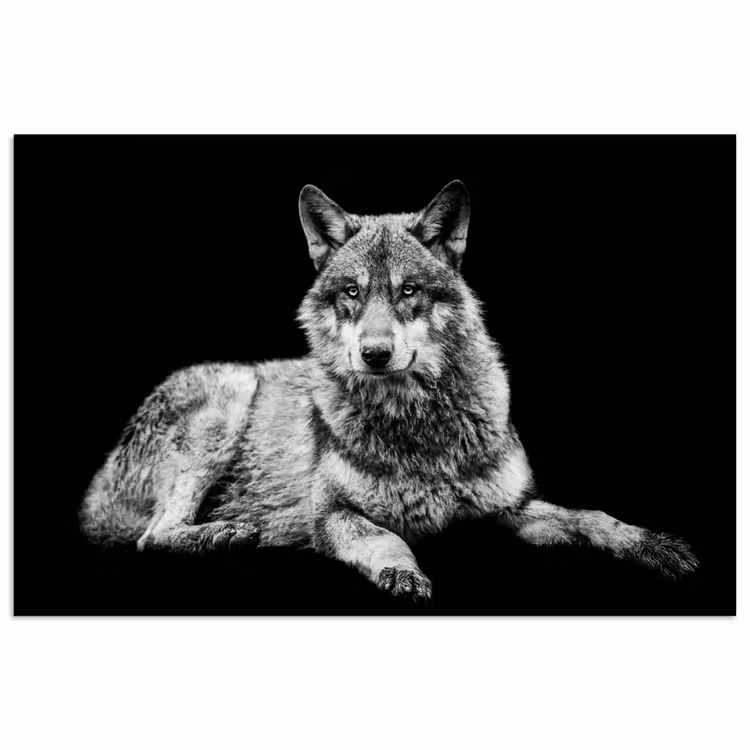 Poster - Wilde dieren - Wolf - Zwart - Wit — 1