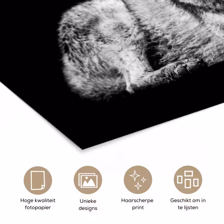 Poster - Wilde dieren - Wolf - Zwart - Wit — 5