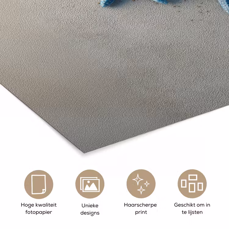 Poster - Zeesterren - Zand - Zee - Blauw — 5