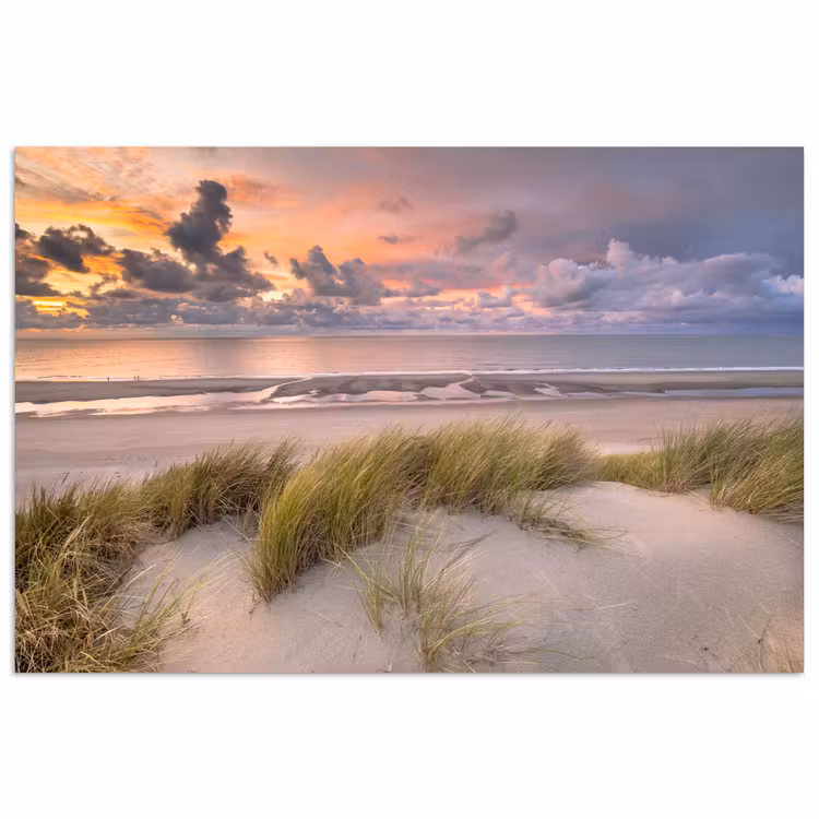 Poster - Zonsondergang - Duin - Strand - Planten - Zee — 1