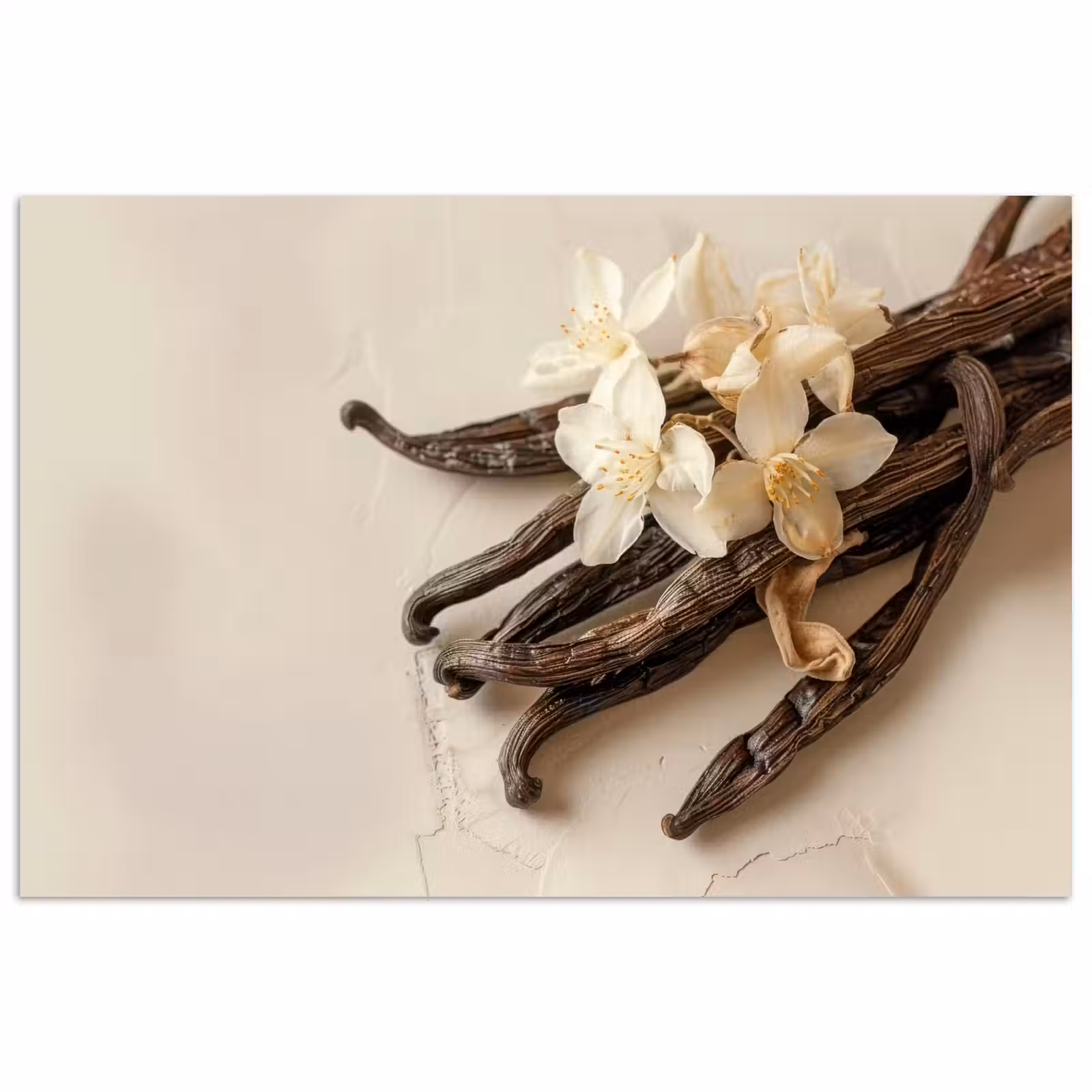 Poster - Vanille - Bloemen - Beige — 1