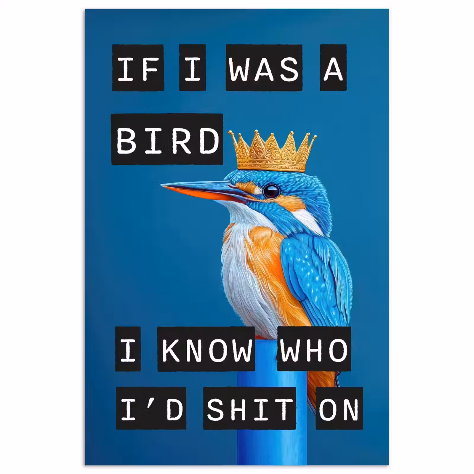 Poster - Vogel - Decoratie - Ijsvogel - Blauw — 1