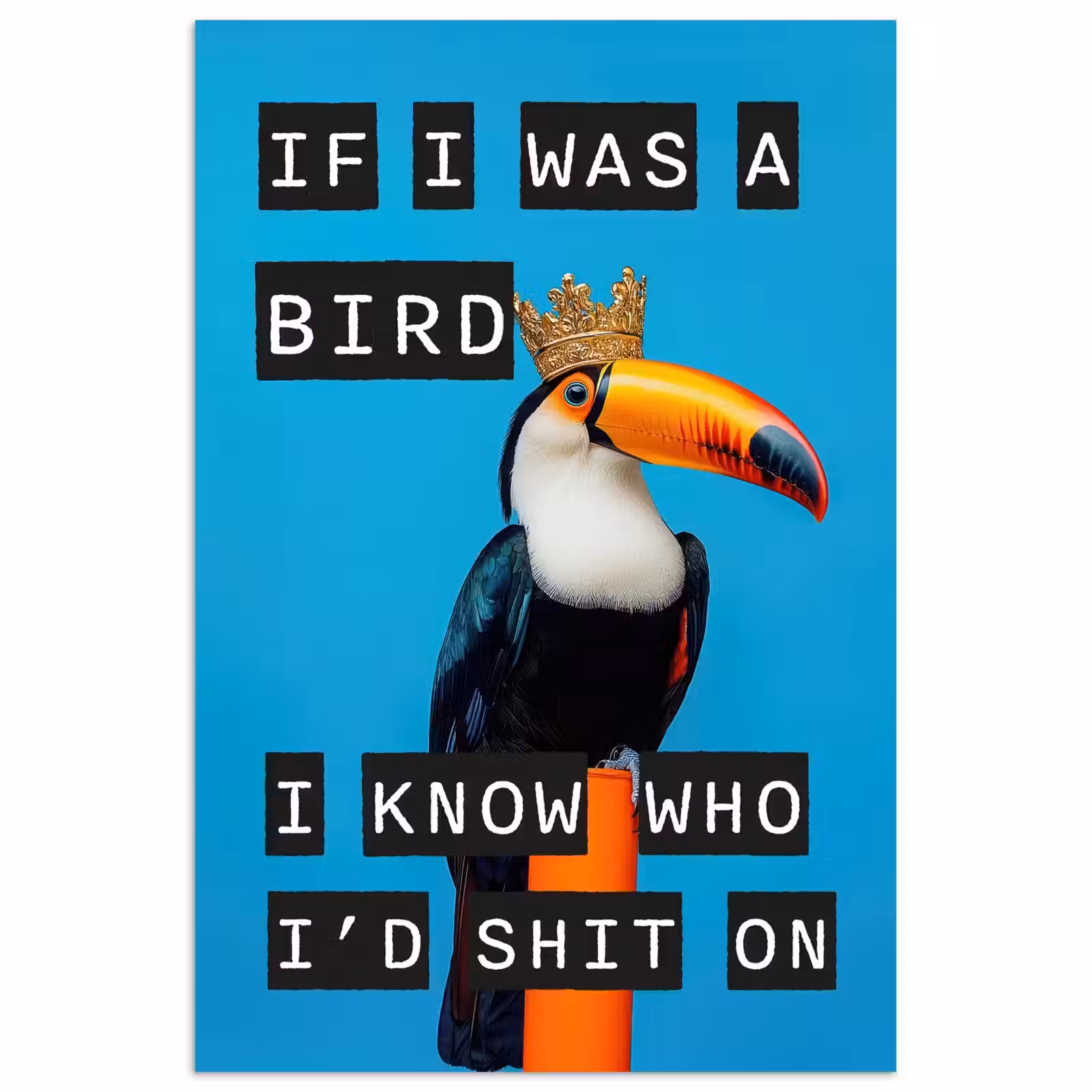 Poster - Vogel - Toekan - Blauw - Quotes — 1