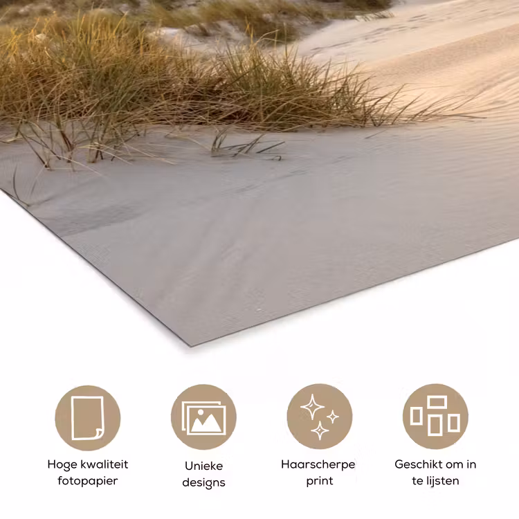 Poster - Strand - Duin - Gras - Zonsondergang - Zee — 5