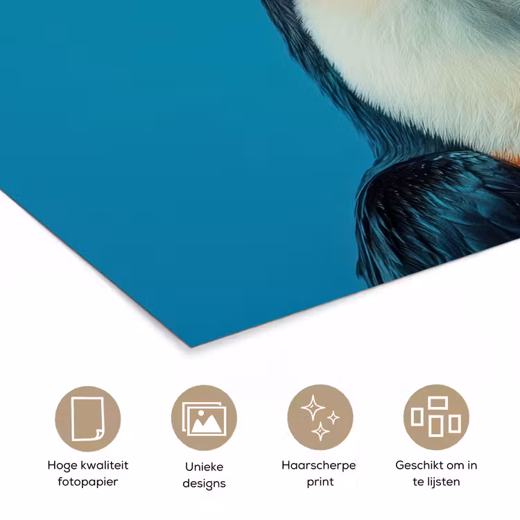 Poster - Toekan - Papegaai - Vogel - Koksmuts — 5