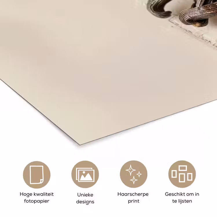 Poster - Vanille - Bloemen - Beige — 5