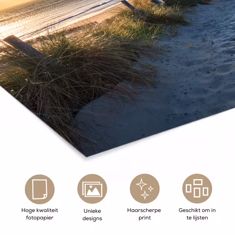Poster - Zonsondergang - Strand - Duin - Gras - Bank — 5